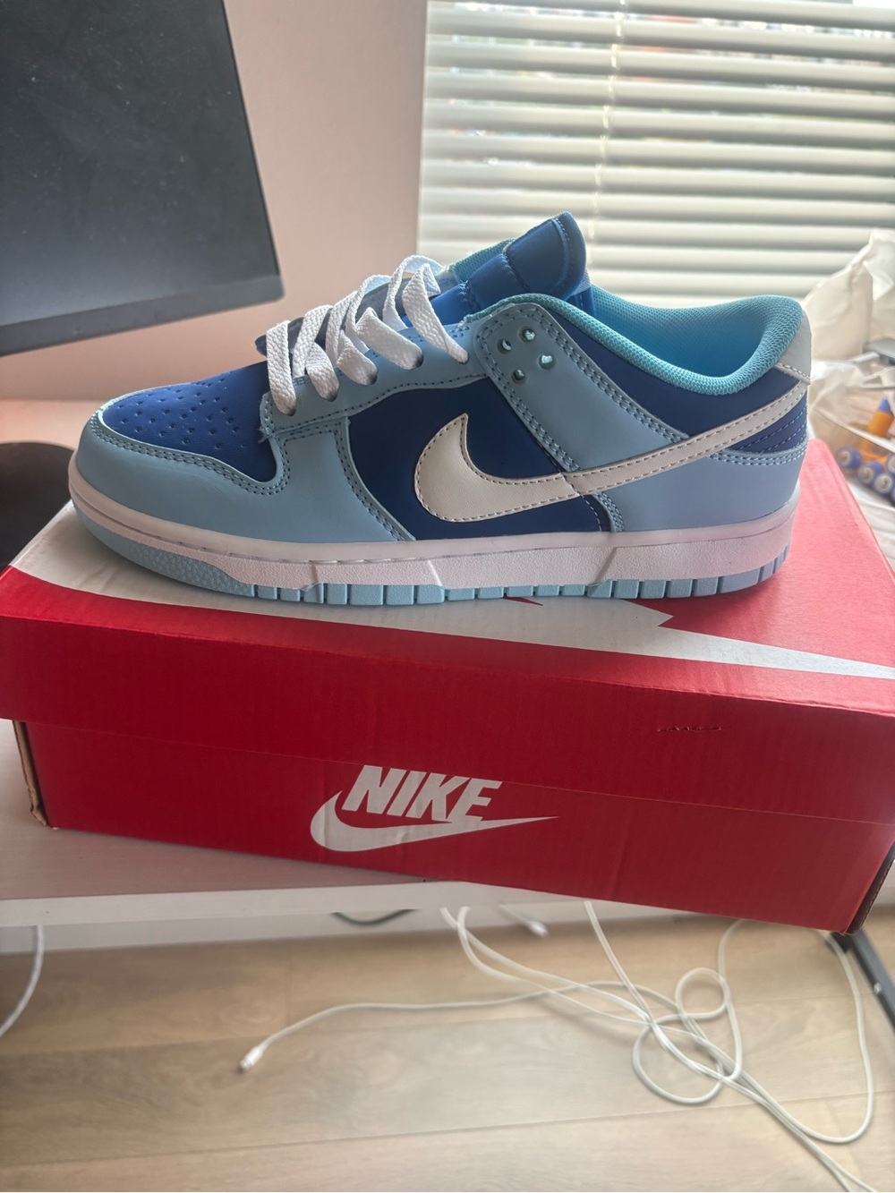 Women’s Nike dunks